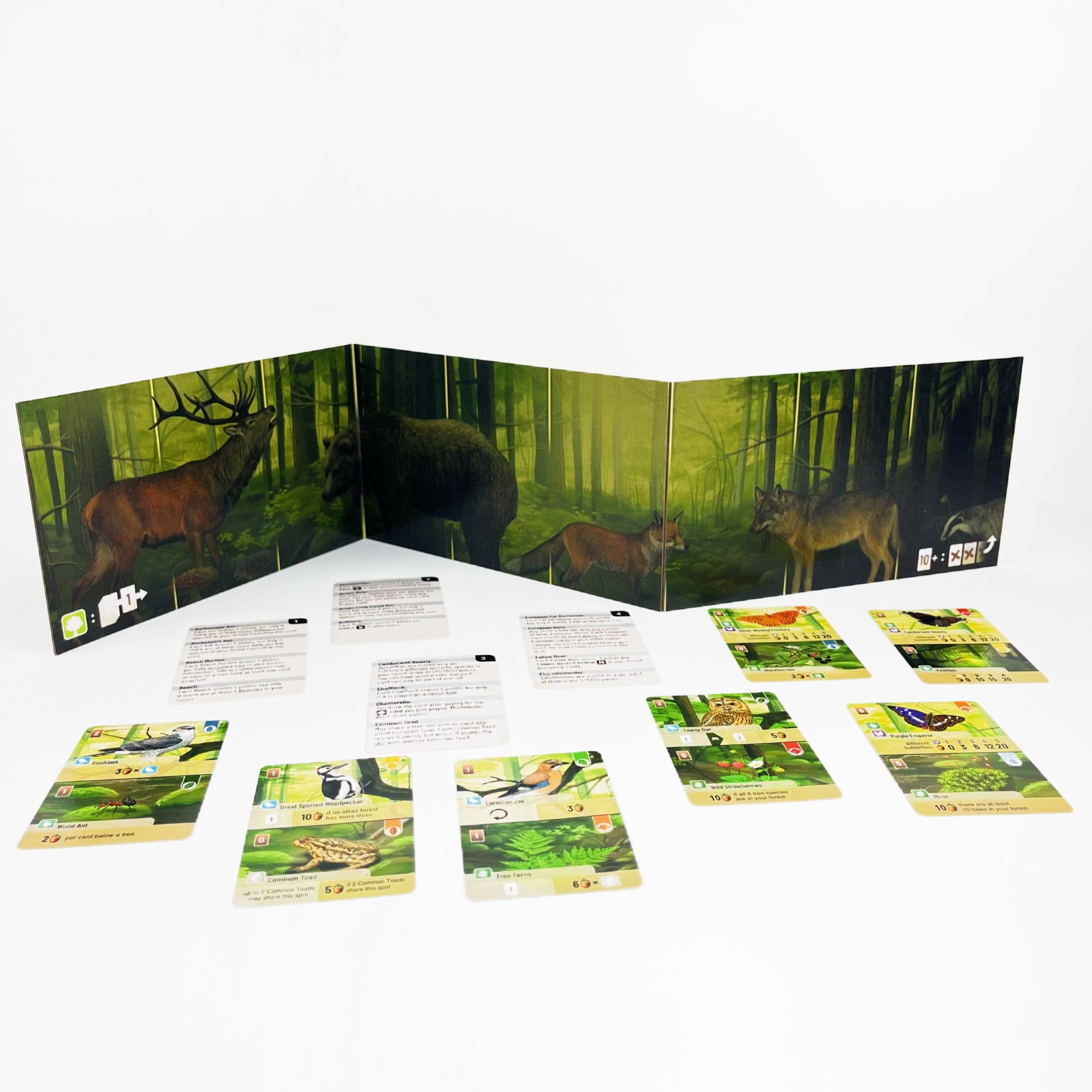 Forest Shuffle Card Game - Cle - Board Game Sequence ulasan dan harga