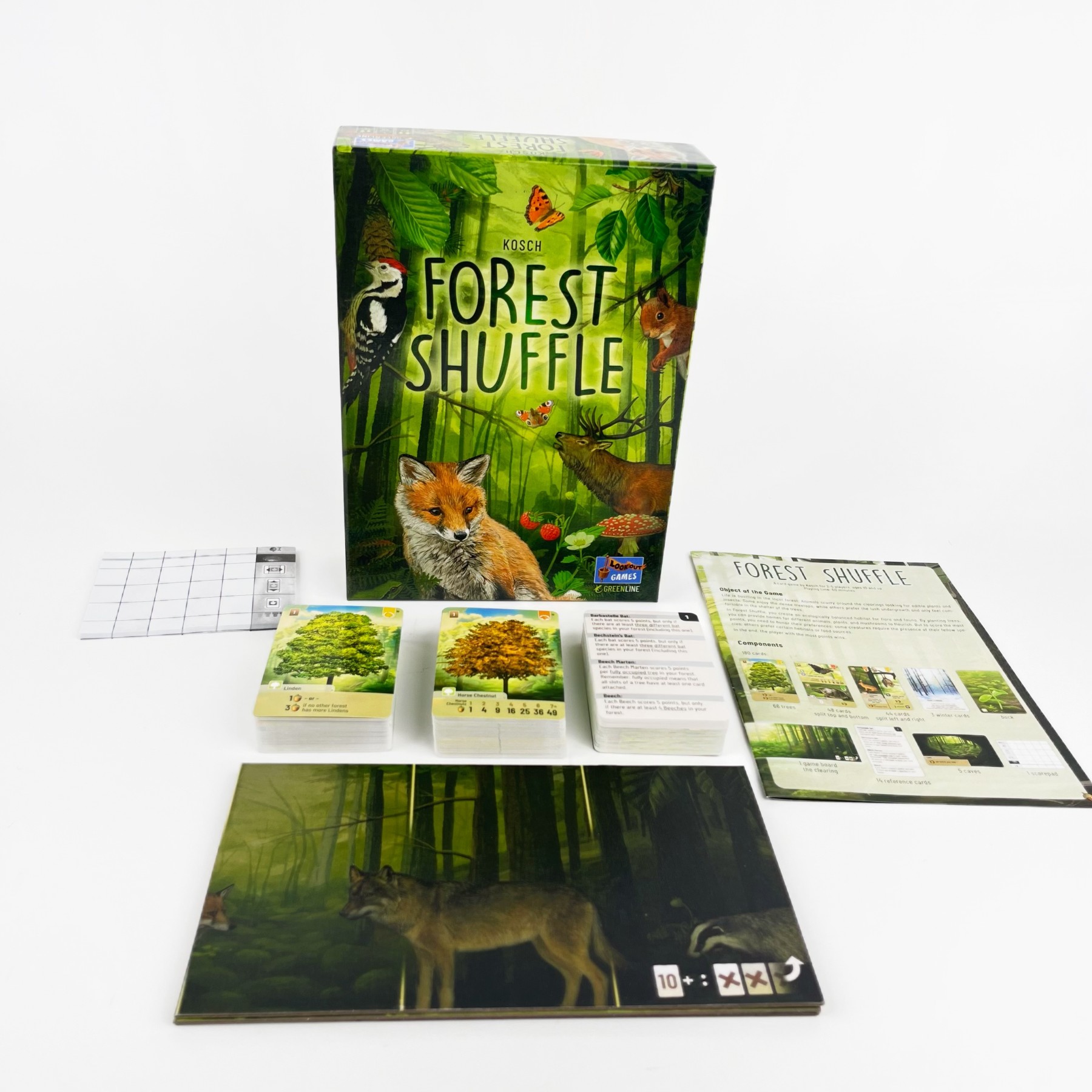 Forest Shuffle Card Game - Cle - Board Game Sequence ulasan dan harga