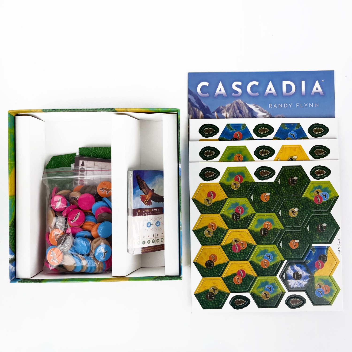 Cascadia Boardgame |  Base Gam - Board Game Sequence ulasan dan harga